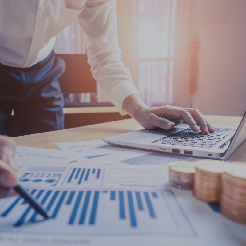 Estudios de mercado locales en Tulum y Playa del Carmen