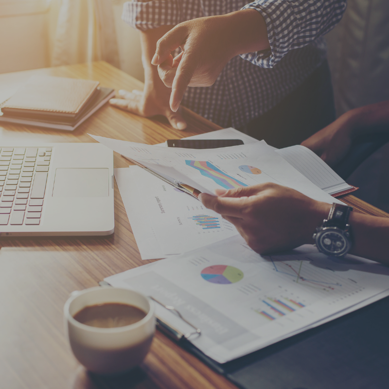 Consultoría digital para empresas en la Riviera Maya